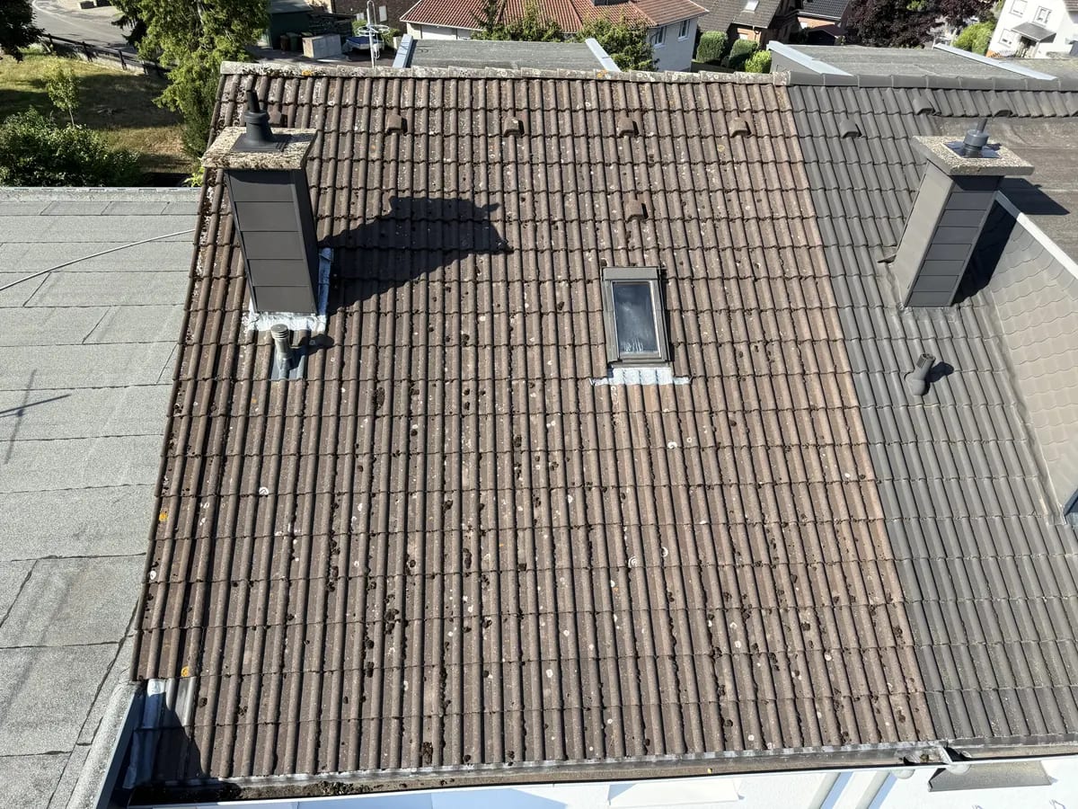 Dachfläche beim Übergang von flechtenbedeckt zu sauber gereinigt