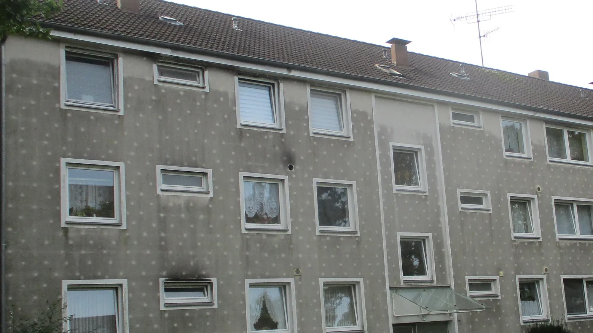 Mehrfamilienhaus mit flächigem grauem Algenbelag vor der Fassadenreinigung