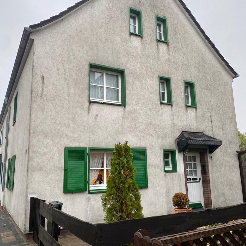 Reinigung Fassade Haus vorher
