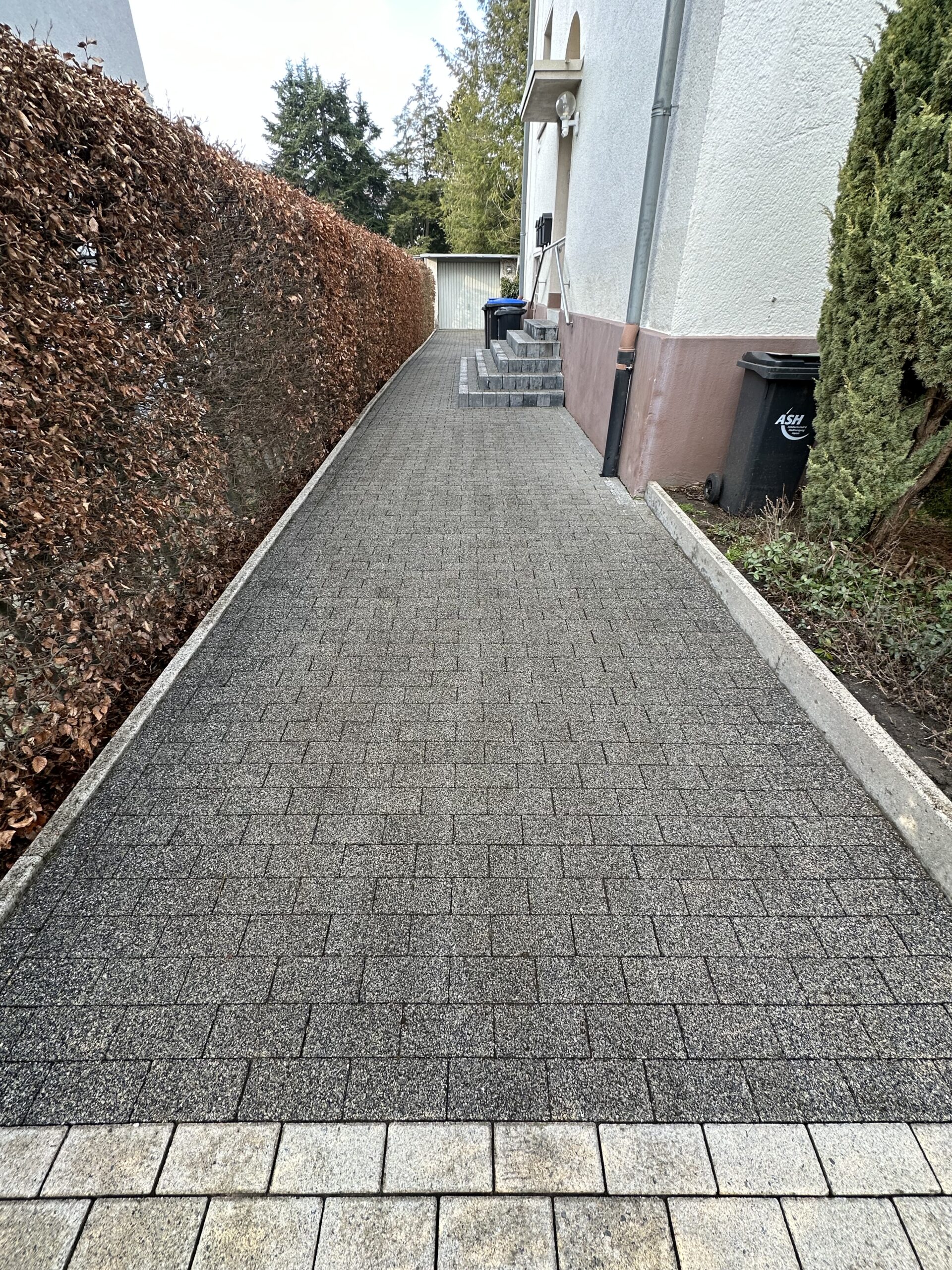 Steinreinigung nacher