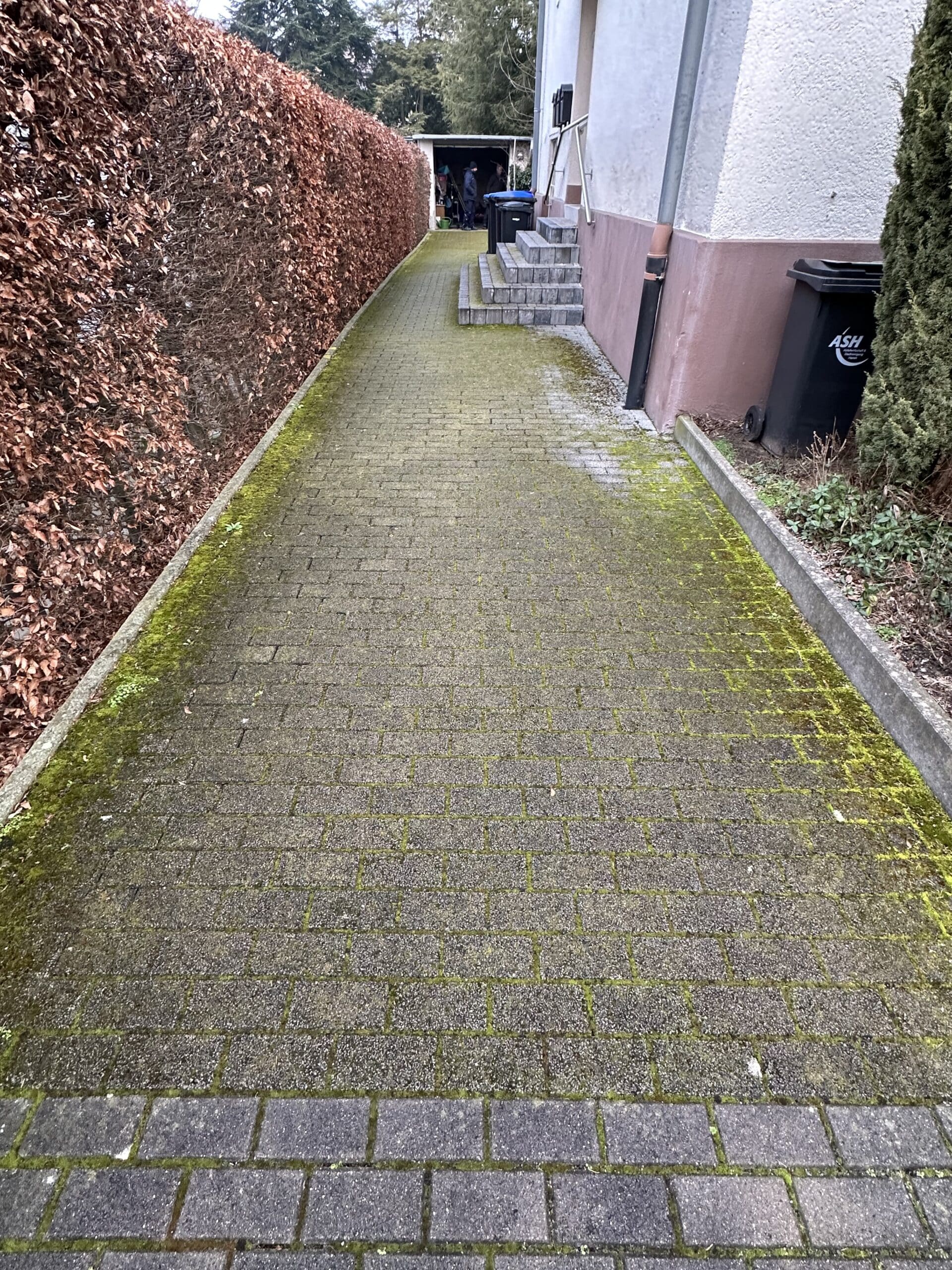 Steinreinigung vorher